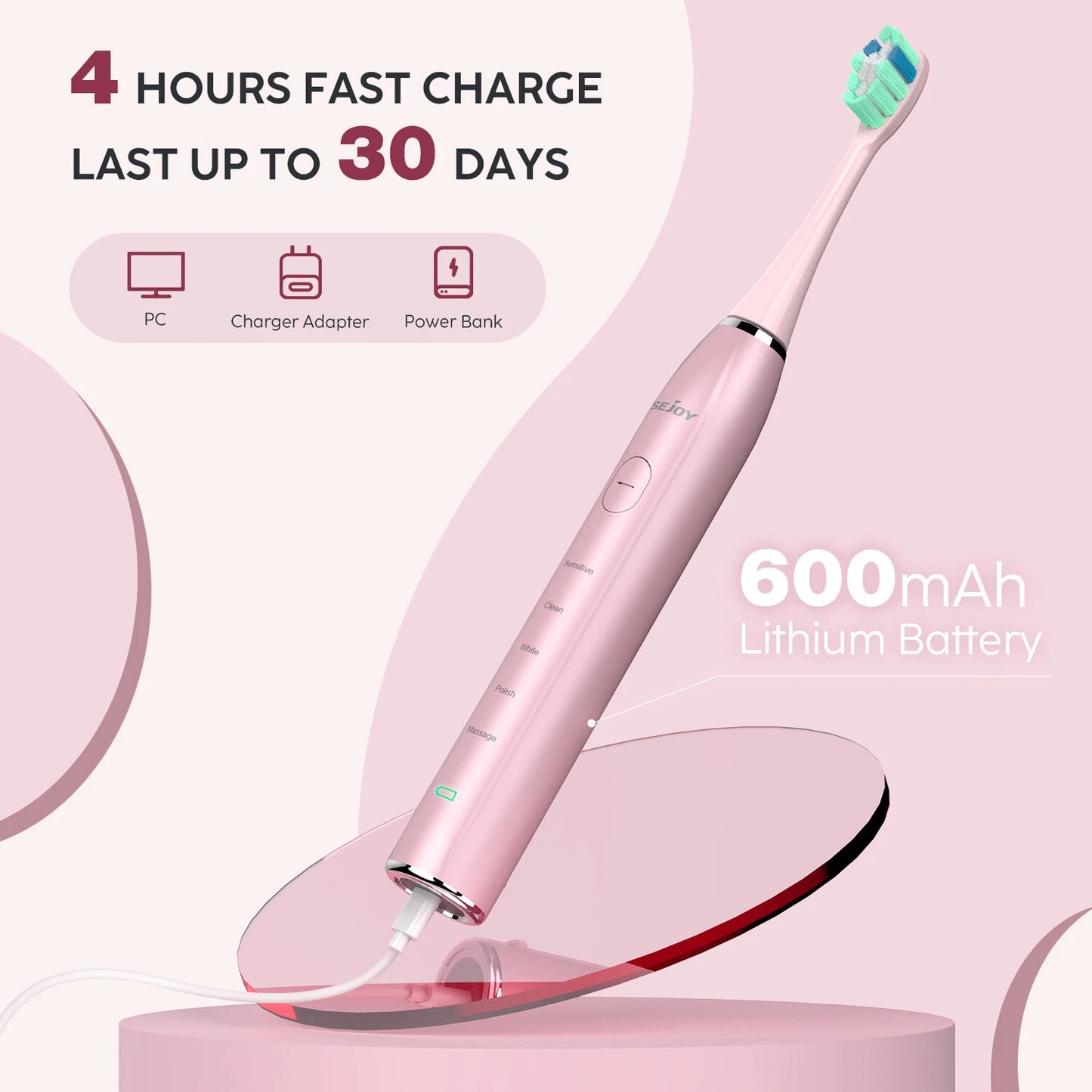 Electric Toothbrush USB Rechargeable Sonic Power Toothbrush with 12 Brush Heads